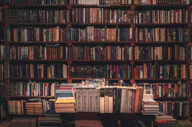 Photo by Stanislav Kondratiev on Pexels.com