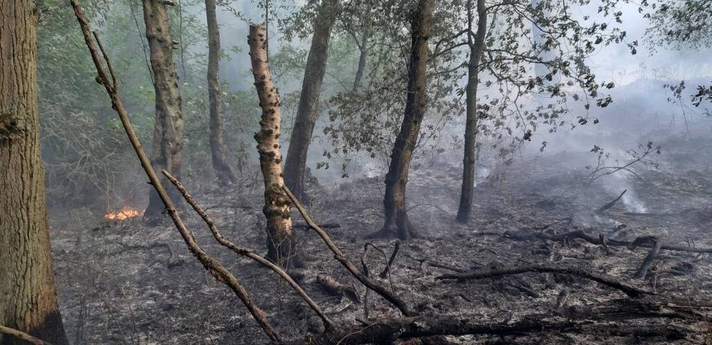 fire-at-the-closed-charnwood-lodge-nature-reserve-2-c-leicestershire-rutland-wildlife-trust