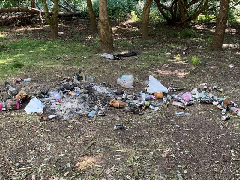 In the natural world, no detail is too&nbsp;small